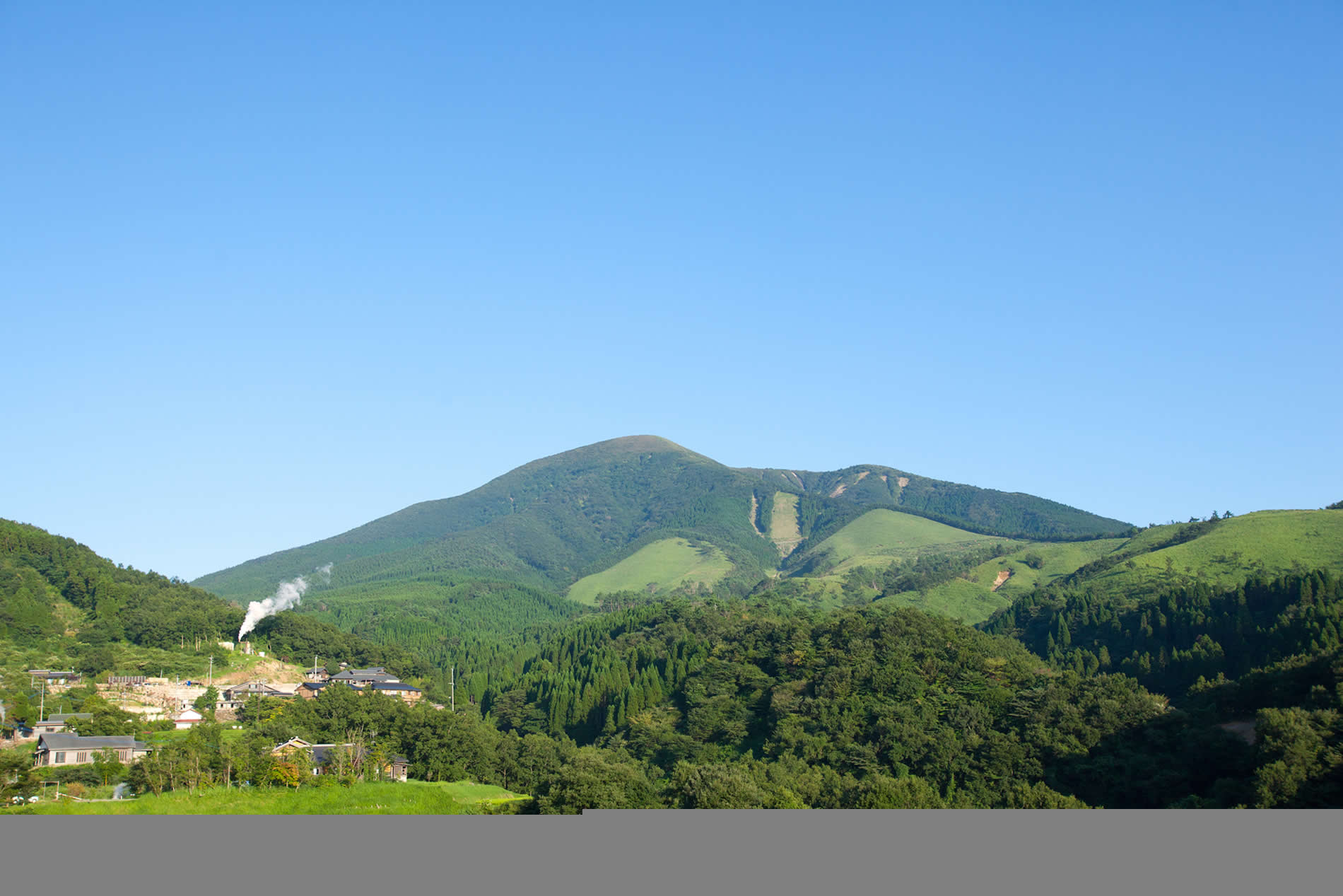 チェックアウト風景